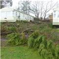 Storm damage at Ladys Mile 010